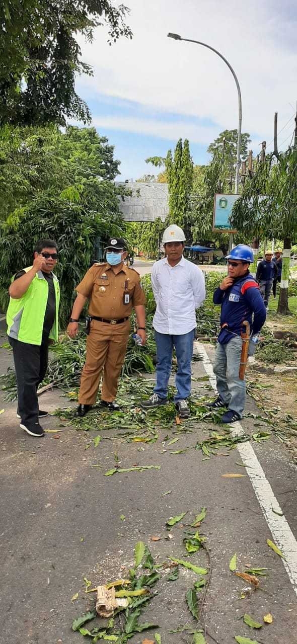 Kerja Sama PLN, DLH Parepare Jamin Pemangkasan Pohon Tidak Merusak dan Tetap Jaga Lingkungan